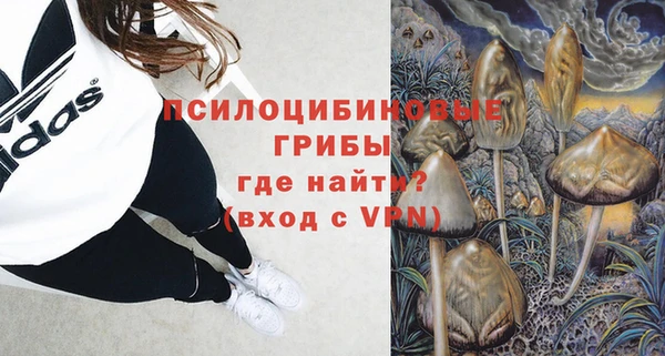 сатива Верхний Тагил