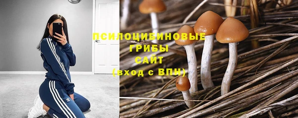 сатива Верхний Тагил