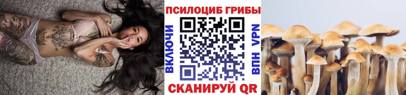 продажа наркотиков  Клин  Псилоцибиновые грибы Cubensis 